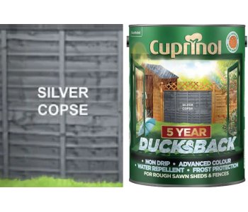 Silver copse outlet paint